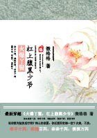 火爆丫鬟:槓上腹黑少爺