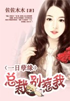 一日孽緣:總裁別惹我