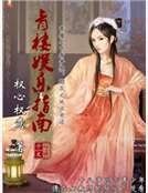青樓娛樂指南