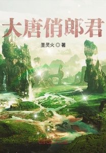 大唐俏郎君