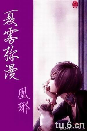 (網王東邦同人)夏霧瀰漫