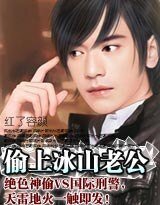 馴服冰山老公/偷心冰山老公(帝集團系列)