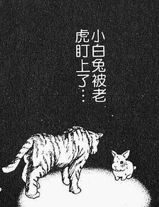 嗶—!