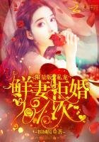 《限量版私寵:鮮妻拒婚101次》