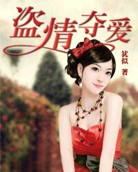 盜情奪愛