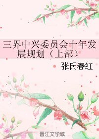 《三界中興委員會十年發展規劃(上部)》