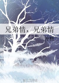 兄弟情,兄弟情