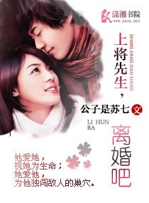 上將先生,離婚吧