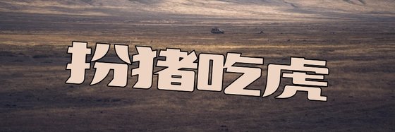 扮豬吃虎&力薦十二篇高分小説
