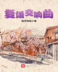 復婚交響曲