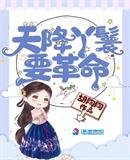 《天降丫鬟要革命》