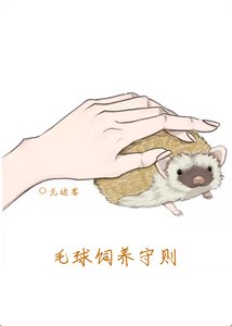 毛球飼養守則