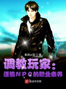 調教玩家:謹慎NPC的職業素養