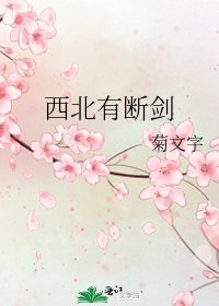 西北有斷劍