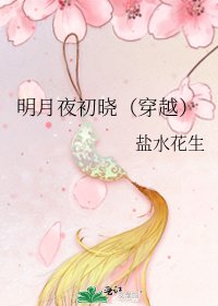 明月夜初曉(穿越)