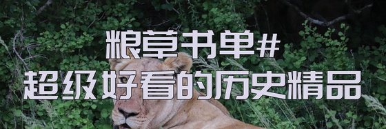 糧草書單#超級好看的歷史精品