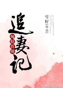 匈奴首領追妻記
