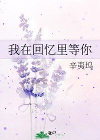 我在回憶裏等你