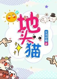 地頭貓