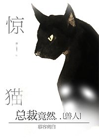 驚!野貓總裁竟然...