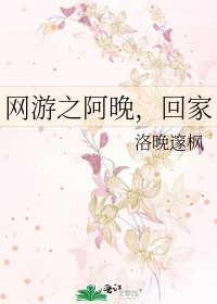 網遊之阿晚，回家
