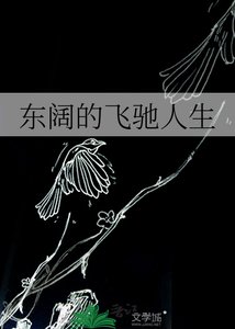 東闊的飛馳人生
