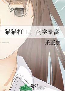 貓貓打工,玄學暴富