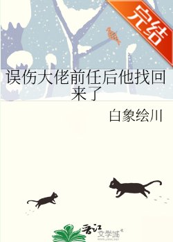 《誤傷大佬前任後他找回來了》