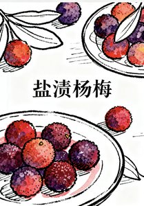 鹽漬楊梅