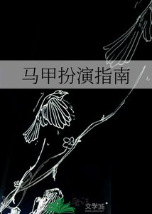 馬甲扮演指南
