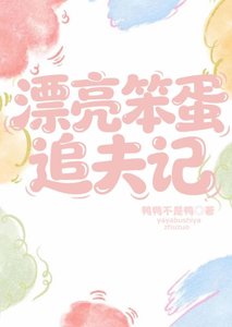 《漂亮笨蛋追夫記》