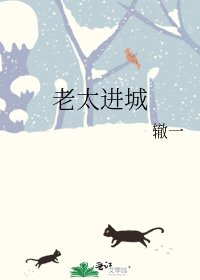 老太進城