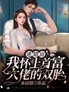 進錯房,我懷上首富大佬的雙胎