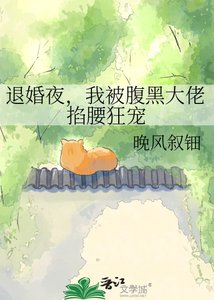退婚夜,我被腹黑大佬掐腰狂寵