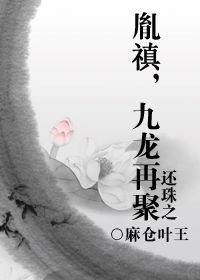 (BL/還珠同人)還珠之胤禛,九龍再聚