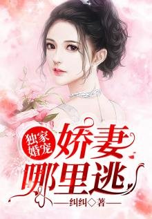 獨家婚寵：嬌妻哪裏逃