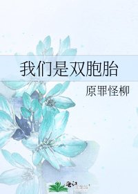 我们是双胞胎